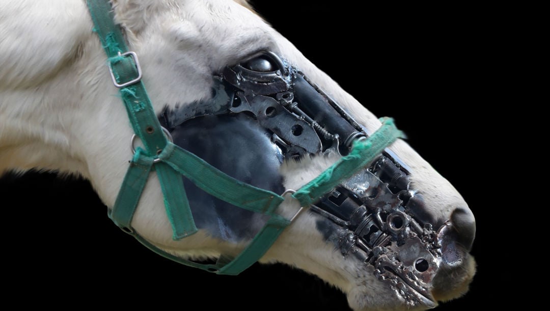 Robot Horse Racing | BetMGM