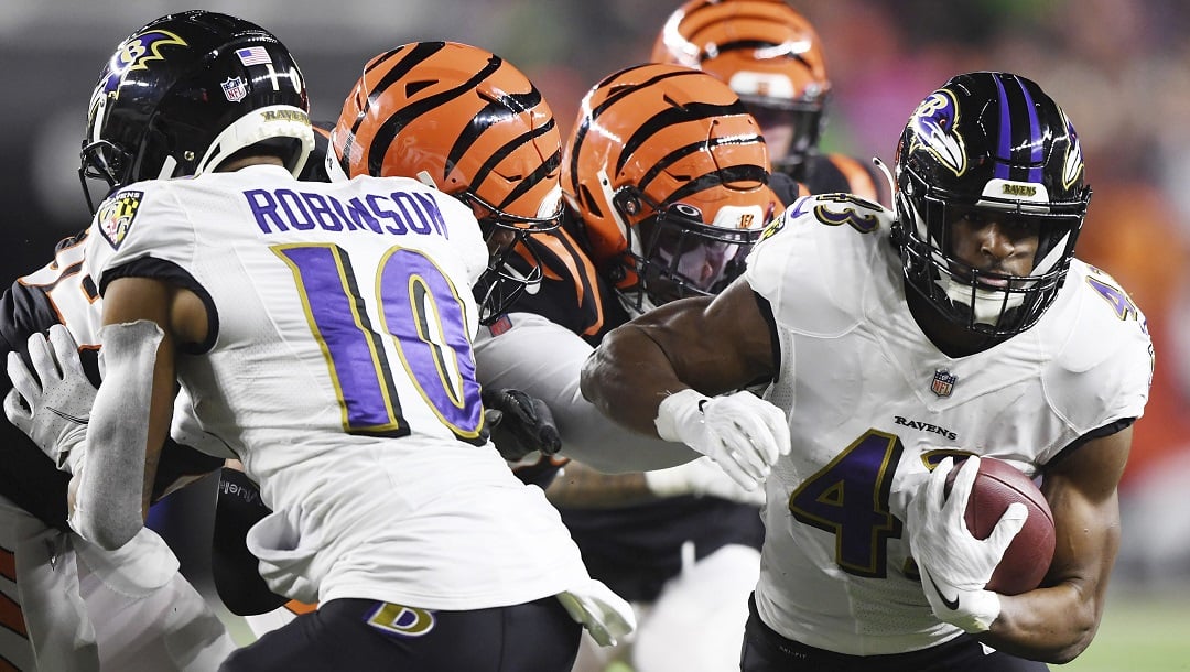 Baltimore Ravens AFC North Odds: Ravens Odds To Win Division