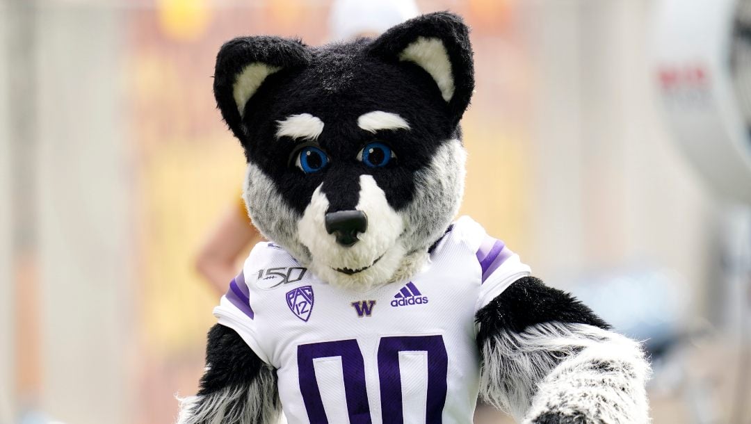 Washington Football Odds: 2023 Win Total & Pac-12 Championship