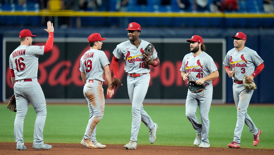 St. Louis Cardinals Futures Odds: World Series, NL Central, NL Pennant