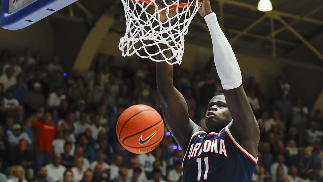 NCAA BASKETBALL: MAR 18 Division I Men's Basketball Championship - Second  Round - Memphis v Arizona