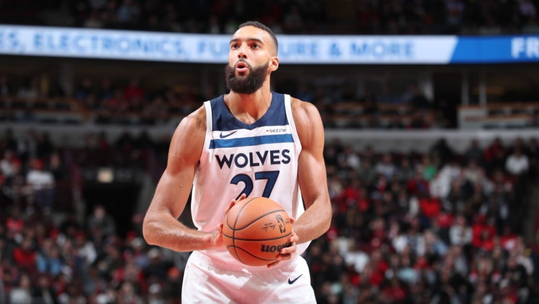 Minnesota Timberwolves Roster 2024 25