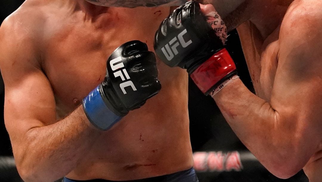 UFC Vegas 119: Shane Collins vs. Otari Tanzilovi Predictions & Odds ...